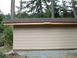 new shed - day 17